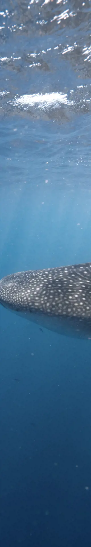 Ein funkelndes Juwel in der Krone von Westaustralien